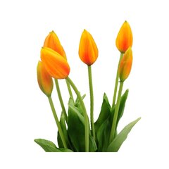 Mākslīgo tulpju pušķis cena un informācija | Mākslīgie ziedi | 220.lv