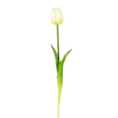 Mākslīgais zieds - tulpe cena un informācija | Mākslīgie ziedi | 220.lv