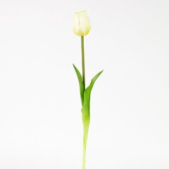 Mākslīgais zieds - tulpe cena un informācija | Mākslīgie ziedi | 220.lv