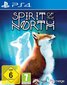 PS4 Spirit of the North cena un informācija | Datorspēles | 220.lv