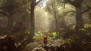 Spēle priekš PlayStation 4, Ghost of a Tale cena un informācija | Datorspēles | 220.lv