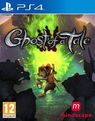 Spēle priekš PlayStation 4, Ghost of a Tale cena un informācija | Datorspēles | 220.lv