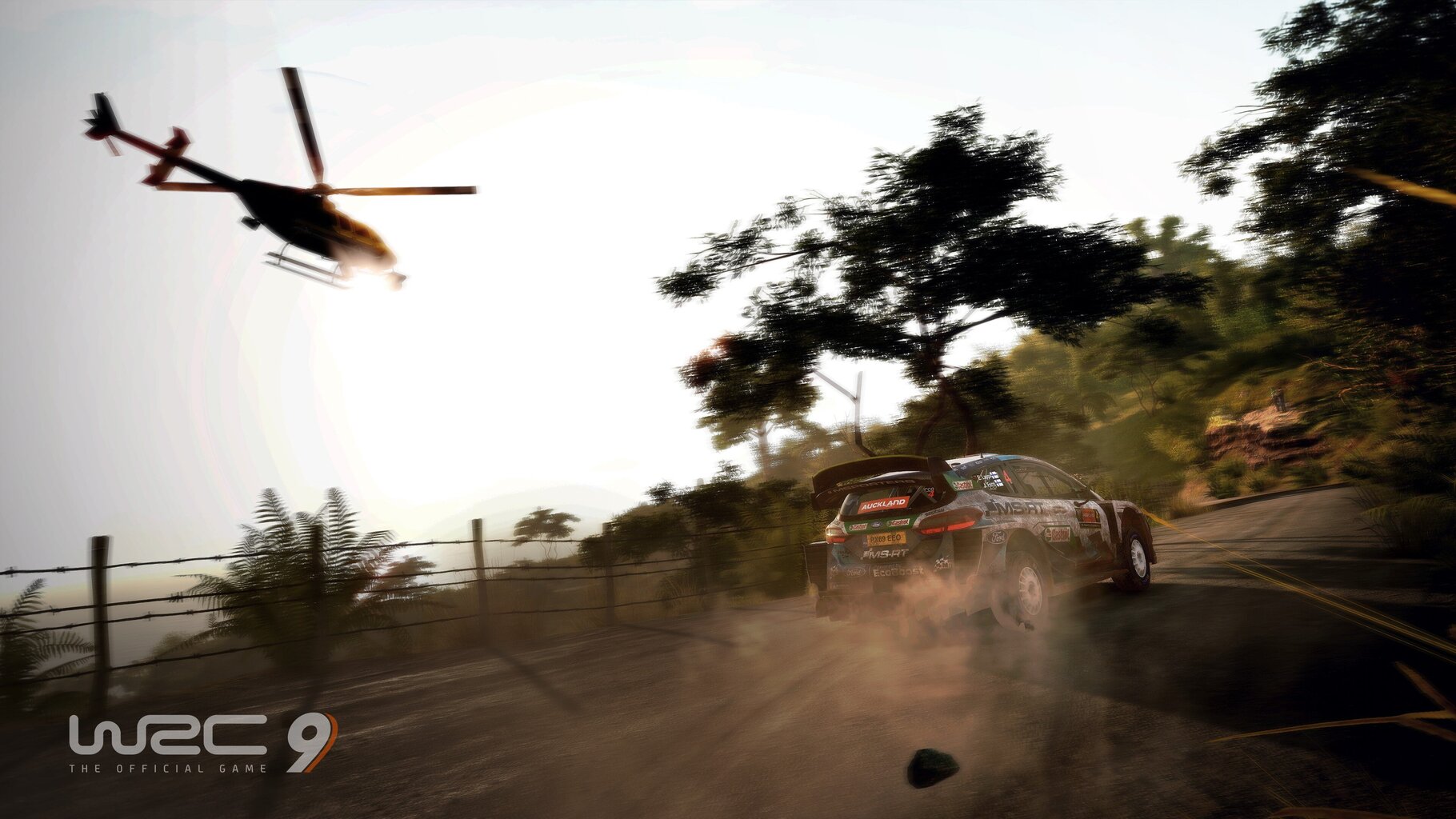 PS5 WRC 9: FIA World Rally Championship cena un informācija | Datorspēles | 220.lv