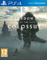 Sony PS4 Shadow Of The Colossus цена и информация | Компьютерные игры | 220.lv