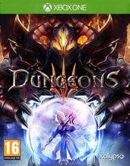 Dungeons 3 cena un informācija | Datorspēles | 220.lv
