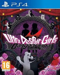 Spēle priekš PlayStation 4, Danganronpa Another Episode: Ultra Despair Girls cena un informācija | Datorspēles | 220.lv