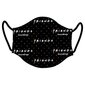 Face Mask: Friends Logo cena un informācija | Datorspēļu suvenīri | 220.lv