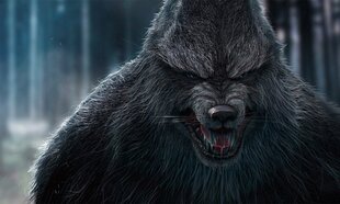 Xbox One Werewolf : Апокалипсис - Земляная кровь цена и информация | Компьютерные игры | 220.lv