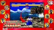 PS4 Samurai Shodown: Neogeo Collection cena un informācija | Datorspēles | 220.lv