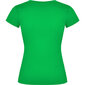 Sieviešu T-krekls ar V-veida kakla izgriezumu, zaļš cena un informācija | T-krekli sievietēm | 220.lv