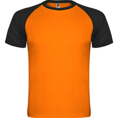 Sporta T-krekls ar īsām piedurknēm, oranžs/melns cena un informācija | Sporta apģērbs vīriešiem | 220.lv