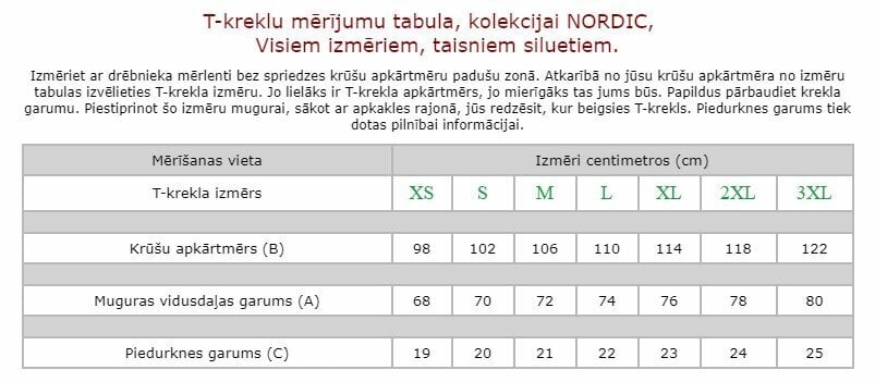 T-krekls Nordic ar īsām piedurknēm vīriešiem cena un informācija | Vīriešu T-krekli | 220.lv