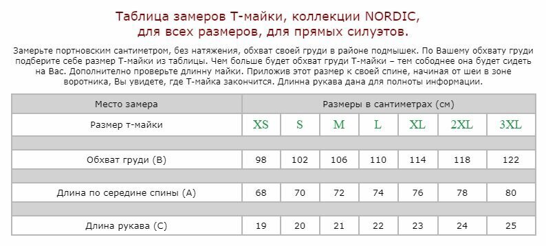 T-krekls Nordic ar īsām piedurknēm vīriešiem cena un informācija | Vīriešu T-krekli | 220.lv