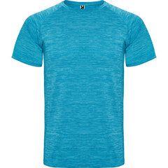 Sporta poliestera T-krekls ar reglāna stila īsām piedurknēm, zils cena un informācija | Sporta apģērbs vīriešiem | 220.lv