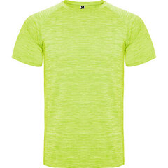 Sporta poliestera T-krekls ar reglāna stila īsām piedurknēm, zaļgandzeltens cena un informācija | Sporta apģērbs vīriešiem | 220.lv
