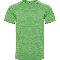 Sporta poliestera T-krekls ar reglāna stila īsām piedurknēm, zaļš cena un informācija | Sporta apģērbs vīriešiem | 220.lv