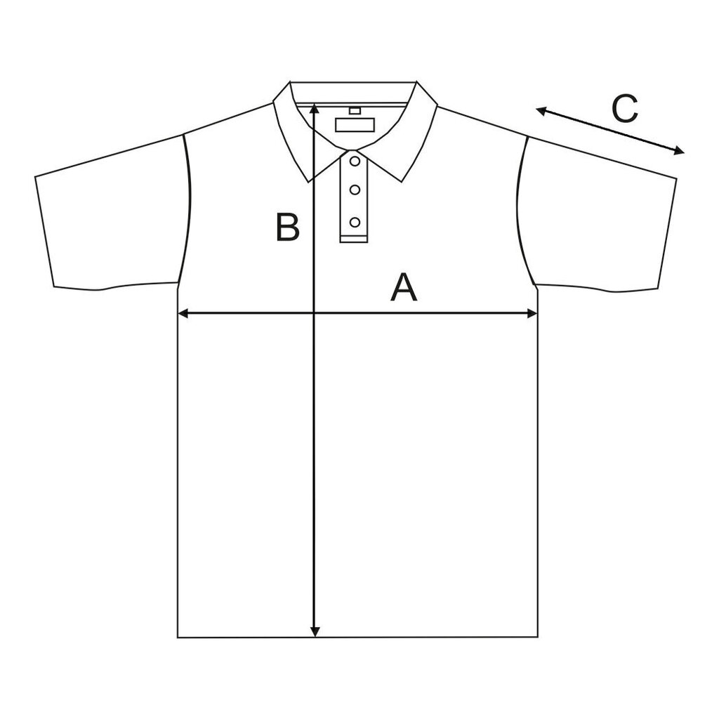 Polo krekls Nordic ar īsām piedurknēm vīriešiem цена и информация | Vīriešu T-krekli | 220.lv