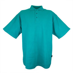 Рубашка поло Nordic, голубая цена и информация | Мужские футболки | 220.lv