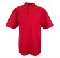 Polo krekls nordic ar īsām piedurknēm vīriešiem cena un informācija | Vīriešu T-krekli | 220.lv