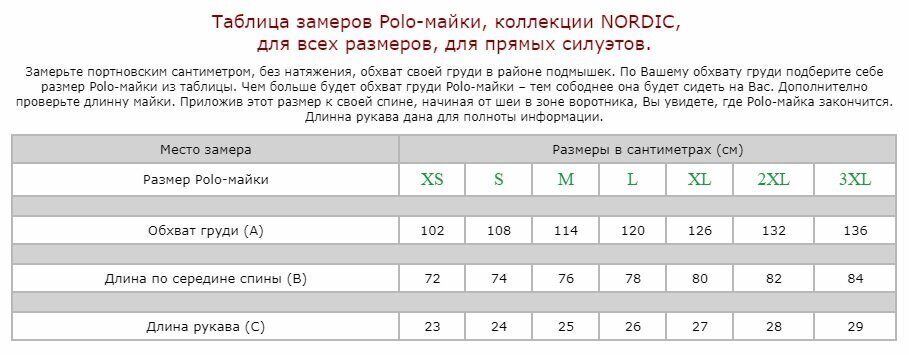 Polo krekls Nordic ar īsām piedurknēm vīriešiem cena un informācija | Vīriešu T-krekli | 220.lv