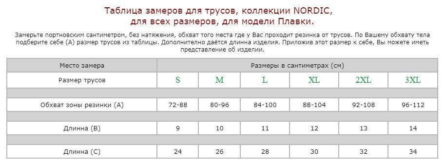 Vīriešu apakšbikses Nordic cena un informācija | Vīriešu apakšbikses | 220.lv