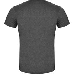 T-krekls ar īsām piedurknēm, pelēks cena un informācija | Vīriešu T-krekli | 220.lv