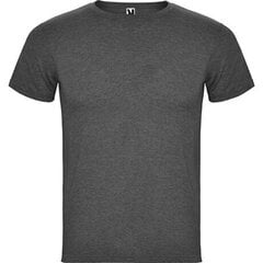 T-krekls ar īsām piedurknēm, pelēks cena un informācija | Vīriešu T-krekli | 220.lv