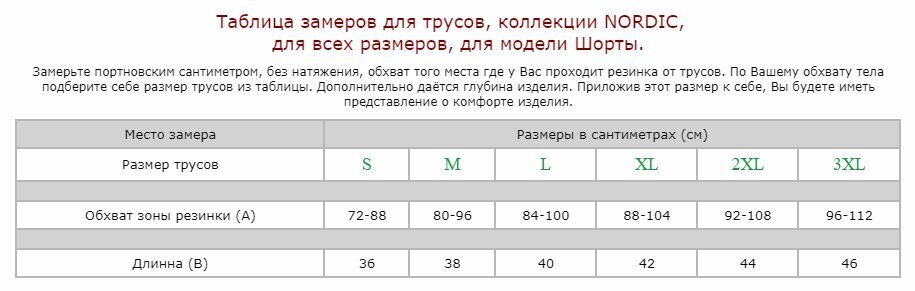 Vīriešu apakšbikses šorti Nordic cena un informācija | Vīriešu apakšbikses | 220.lv