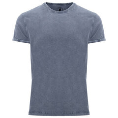 T-krekls ar īsām piedurknēm, zils cena un informācija | Vīriešu T-krekli | 220.lv