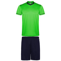 Sporta komplekts- T-krekls un šorti, zaļš/zils cena un informācija | Sporta apģērbs vīriešiem | 220.lv