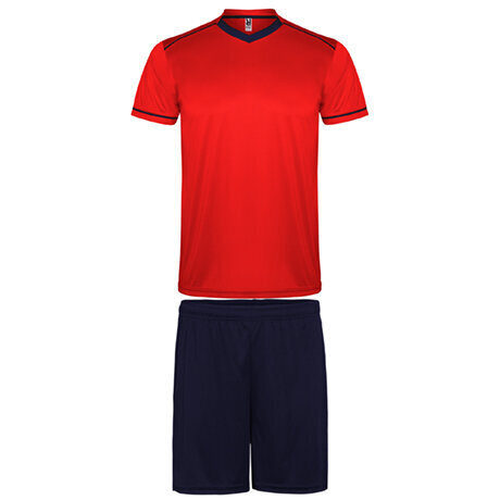 Sporta komplekts - T-krekls un šorti, sarkans/zils cena un informācija | Sporta apģērbs vīriešiem | 220.lv