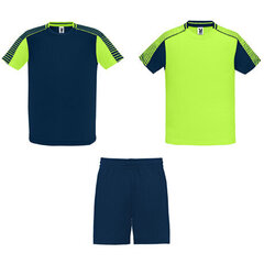 Unisex sporta komplekts: 2 T-krekli un 1 šorti, zaļš/zils cena un informācija | Sporta apģērbs vīriešiem | 220.lv