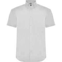 Рубашки M ROBIN2 3114 WHITE M ROBIN2 3114 WHITE-XXL цена и информация | Мужские рубашки | 220.lv