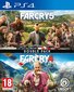 Far Cry 4 & Far Cry 5 (Double Pack) PS4 cena un informācija | Datorspēles | 220.lv