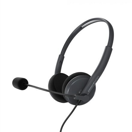 Energy Sistem Headset Office 2 Anthracite 452132 цена и информация | Austiņas | 220.lv