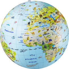 Надувной глобус-мяч CALY, 40490, 50 см цена и информация | Развивающие игрушки | 220.lv