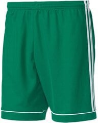Спортивные шорты для мужчин Adidas Squadra 17, зеленые цена и информация | Мужская спортивная одежда | 220.lv