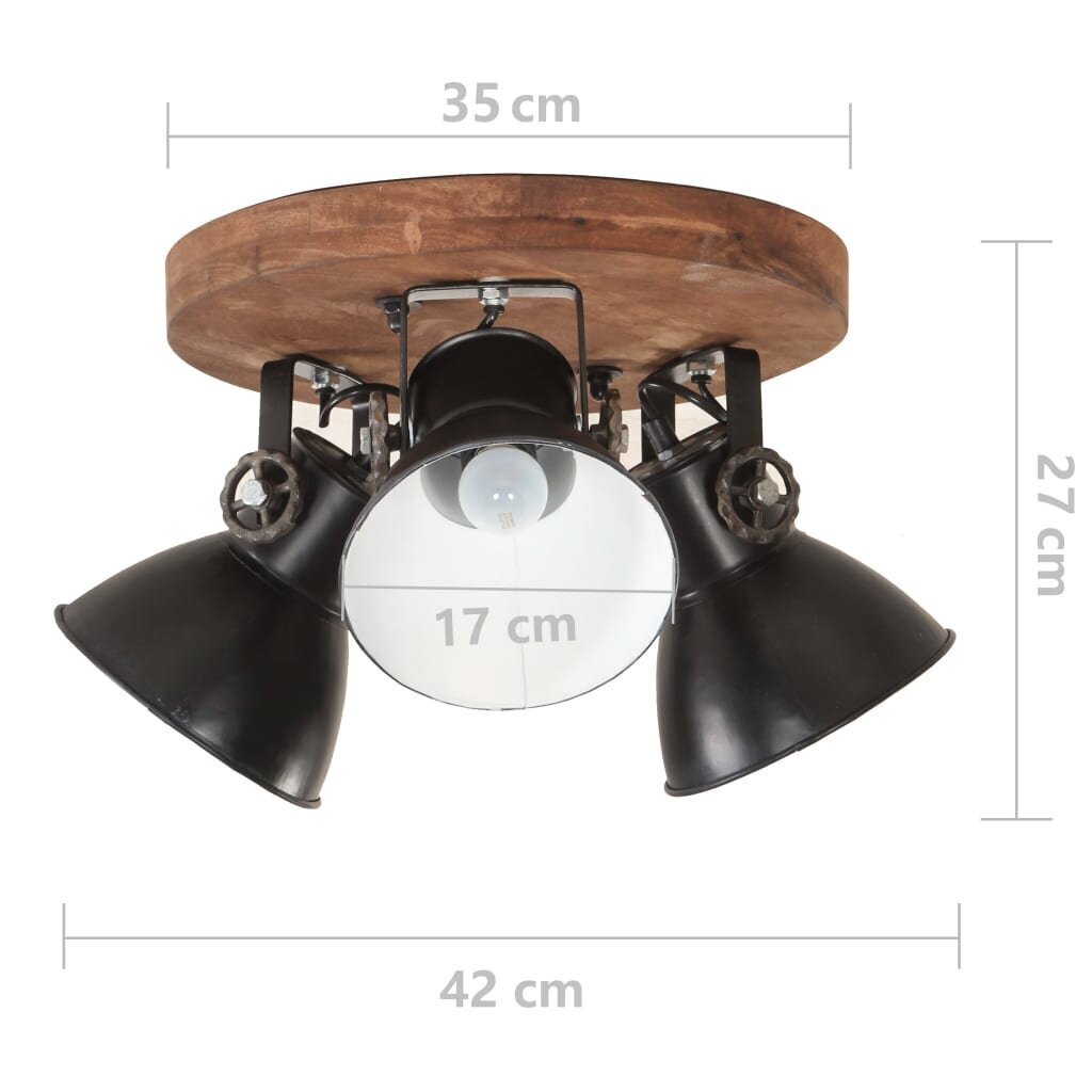 vidaXL griestu lampa, industriāls dizains, melna, 25 W, 42x27 cm, E27 cena un informācija | Griestu lampas | 220.lv