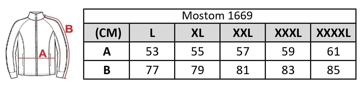 Vīriešu džemperis ar rāvējslēdzēju Mostom 1669, pelēks cena un informācija | Vīriešu džemperi | 220.lv