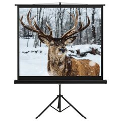 vidaXL projekcijas ekrāns ar statīvu, 60", 1:1 cena un informācija | Ekrāni projektoriem | 220.lv