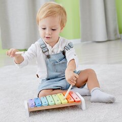 Деревянный ксилофон цена и информация | Игрушки для малышей | 220.lv