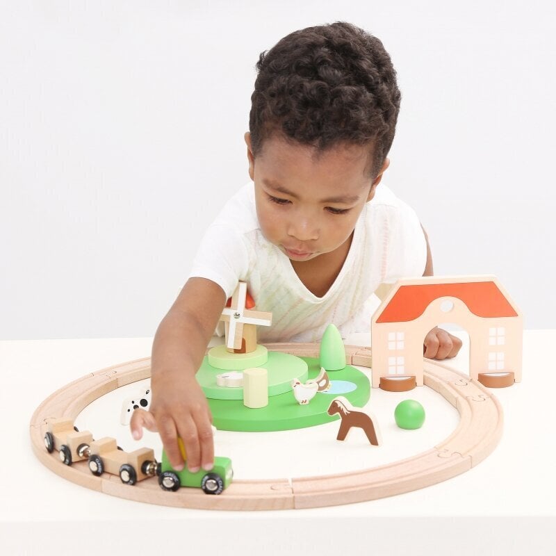 Vilciens bērniem ar nelielām gredzena formas sliedēm цена и информация | Rotaļlietas zīdaiņiem | 220.lv