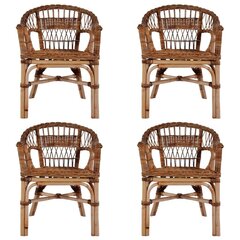 Садовые стулья, 4 шт., коричневые цена и информация | Садовые стулья, кресла, пуфы | 220.lv