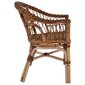 vidaXL dārza krēsli, 2 gab., brūna dabīgā rotangpalma цена и информация | Dārza krēsli | 220.lv