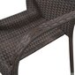 vidaXL dārza krēsli, 2 gab., PE rotangpalma, brūni цена и информация | Dārza krēsli | 220.lv