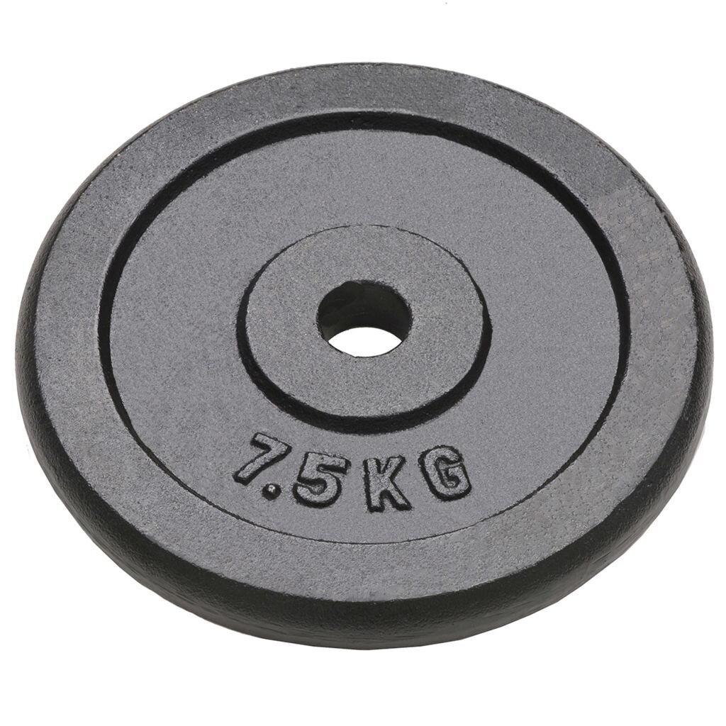 vidaXL svaru diski, 4 gab., 30 kg, čuguns cena un informācija | Svari, hanteles, stieņi | 220.lv