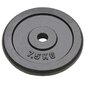 vidaXL svaru diski, 4 gab., 30 kg, čuguns cena un informācija | Svari, hanteles, stieņi | 220.lv