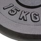 vidaXL svaru diski, 2 gab., 30 kg, čuguns cena un informācija | Svari, hanteles, stieņi | 220.lv