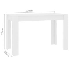 vidaXL virtuves galds, 120x60x76 cm, skaidu plāksne, balts cena un informācija | Virtuves galdi, ēdamgaldi | 220.lv