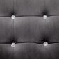 vidaXL divvietīgs dīvāns ar roku balstiem, hroms, tumši pelēks samts цена и информация | Dīvāni | 220.lv